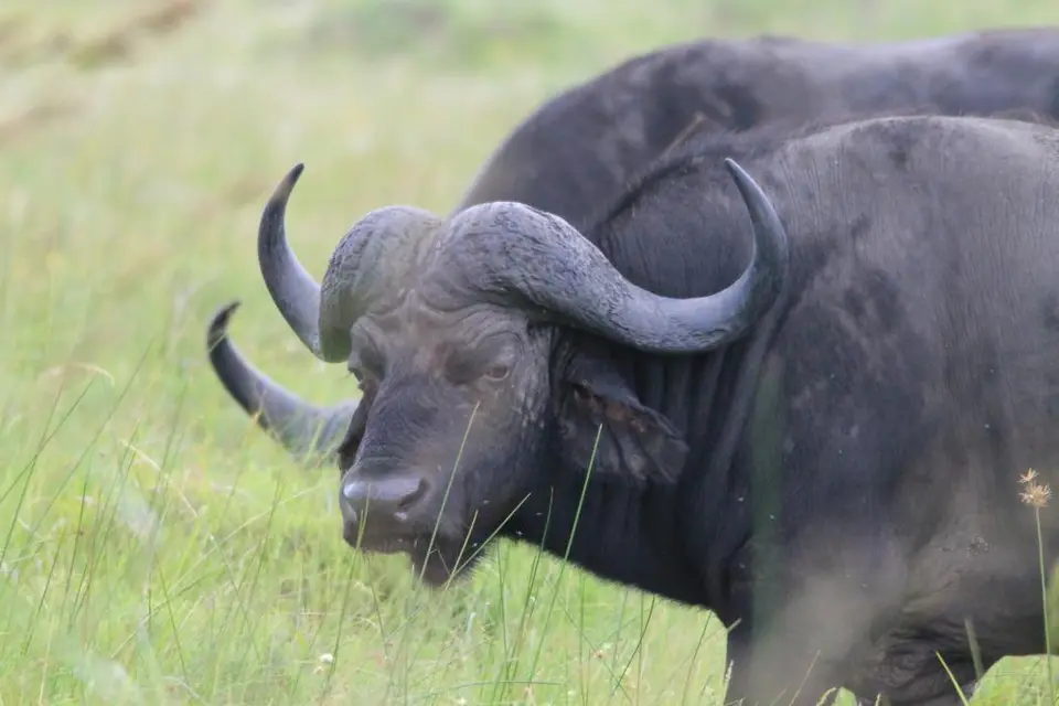 KZN16.jpg(206).jpg