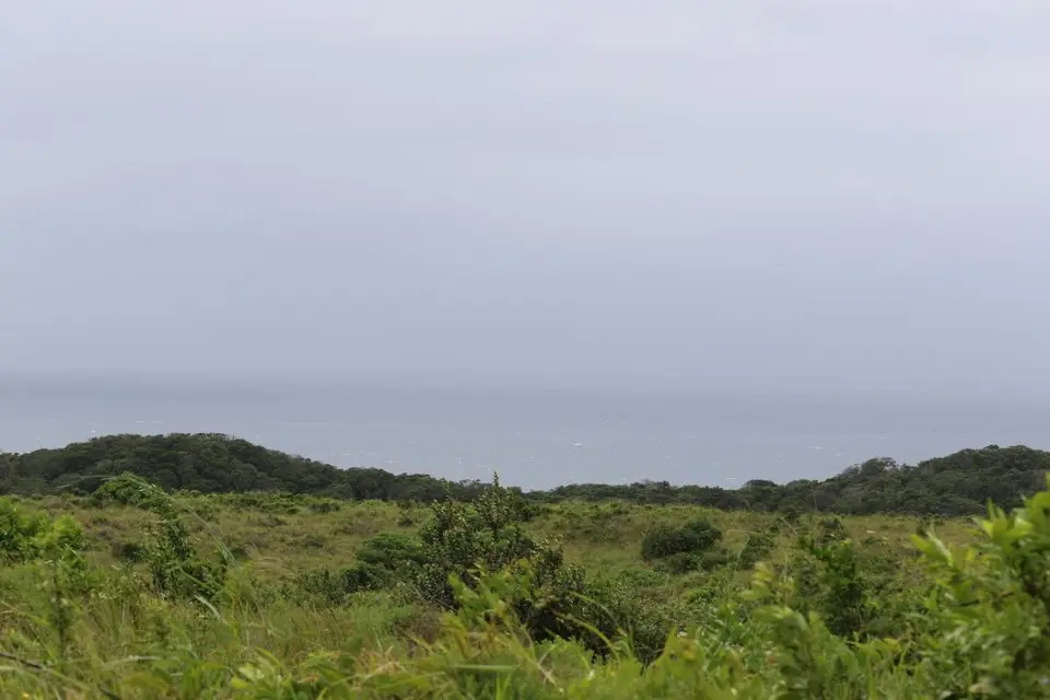 KZN16.jpg(27).jpg
