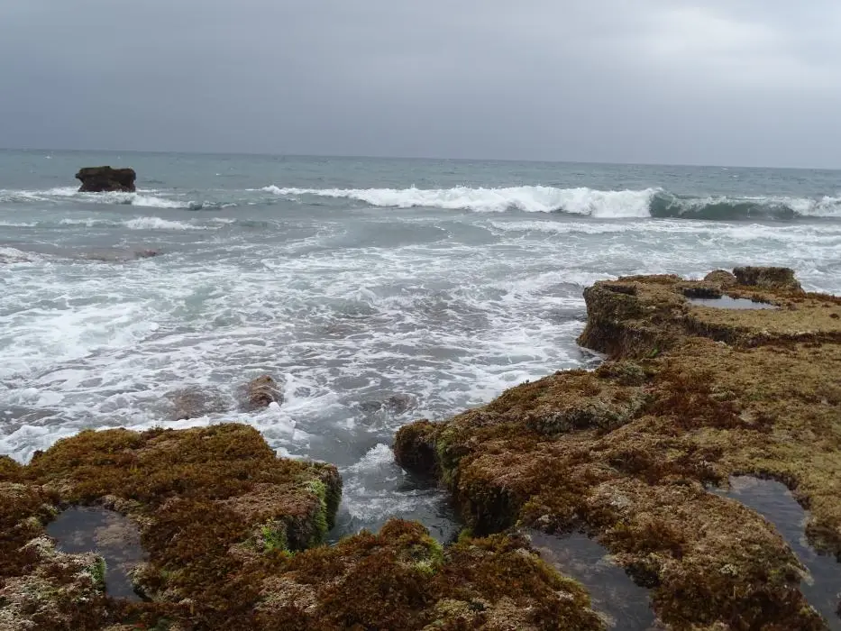 KZN16.jpg(37).jpg