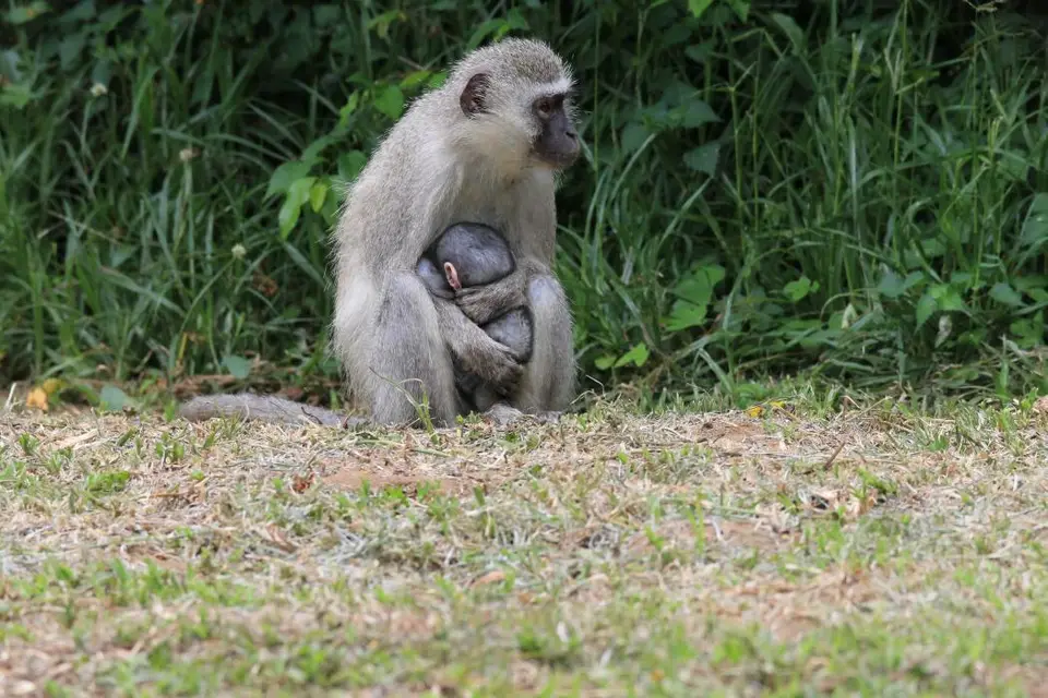 KZN16.jpg(69).jpg