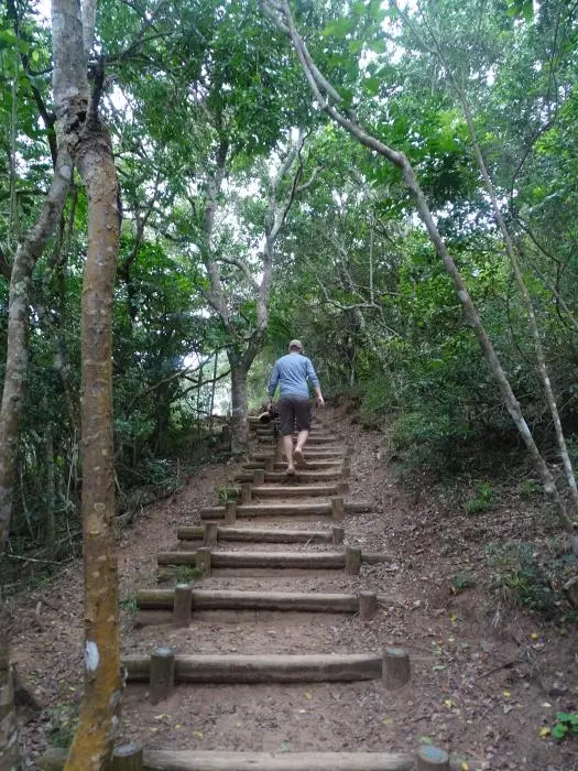 KZN16.jpg(77).jpg