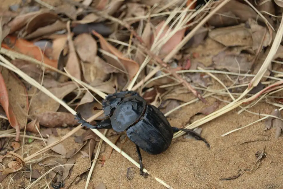 KZN16.jpg(83).jpg