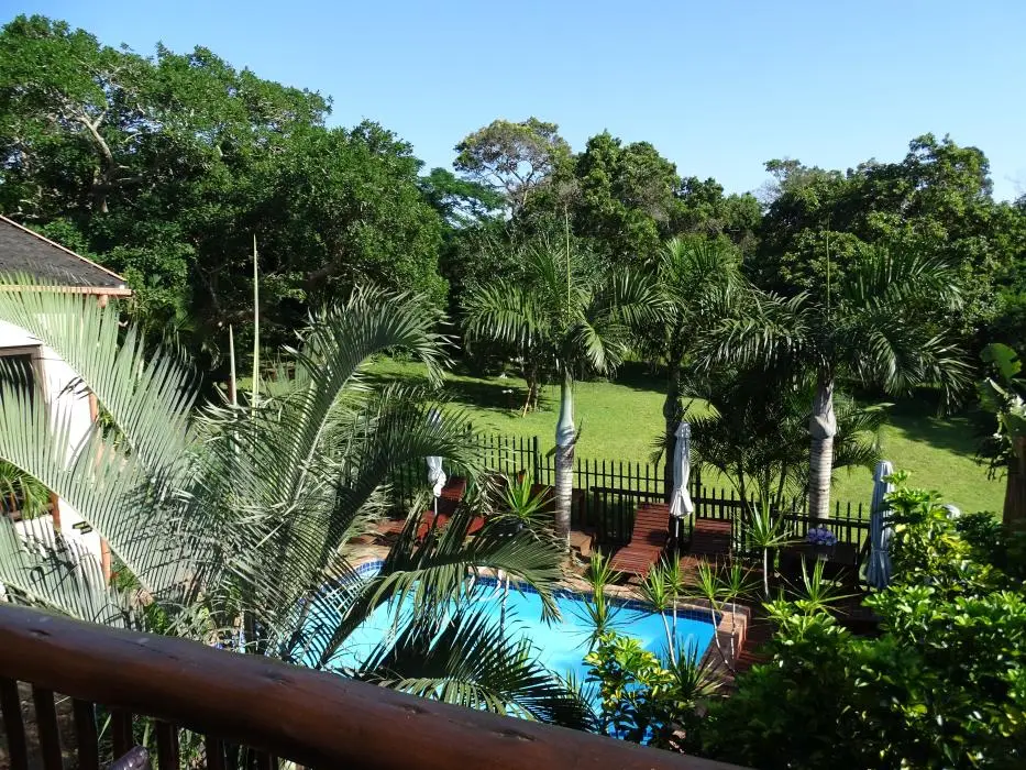 KZN17.jpg(1).jpg