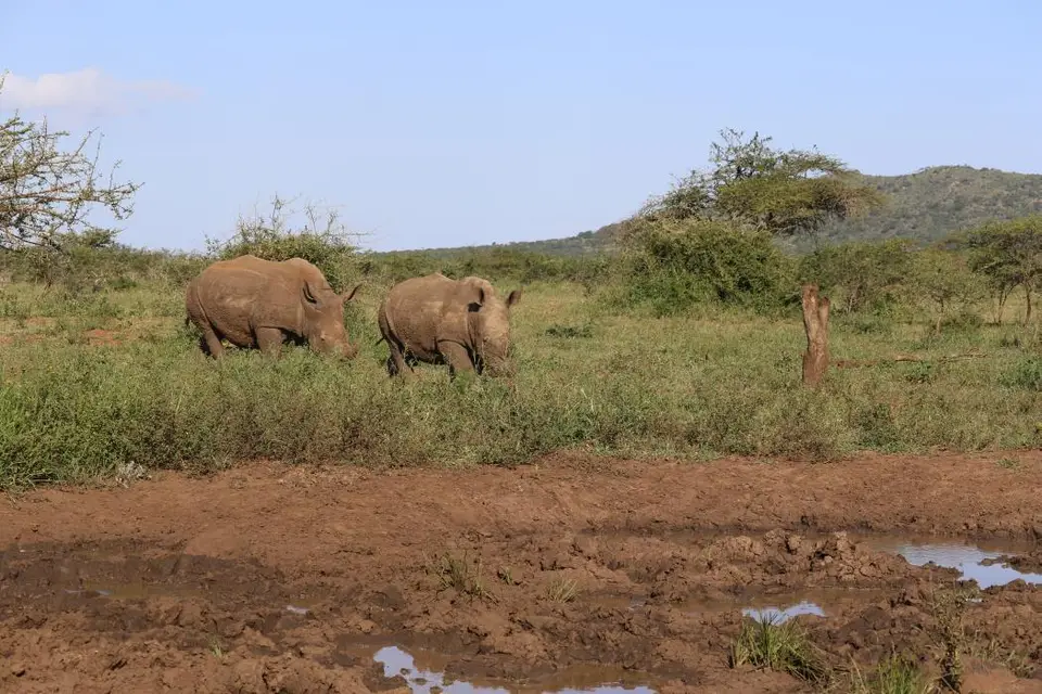 KZN17.jpg(115).jpg