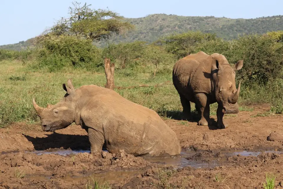 KZN17.jpg(126).jpg