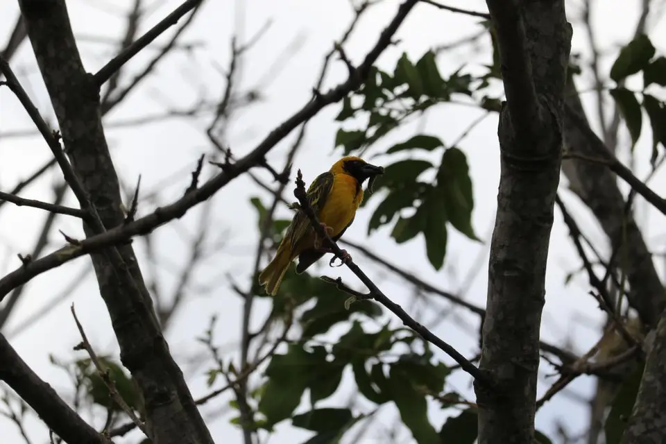KZN17.jpg(28).jpg
