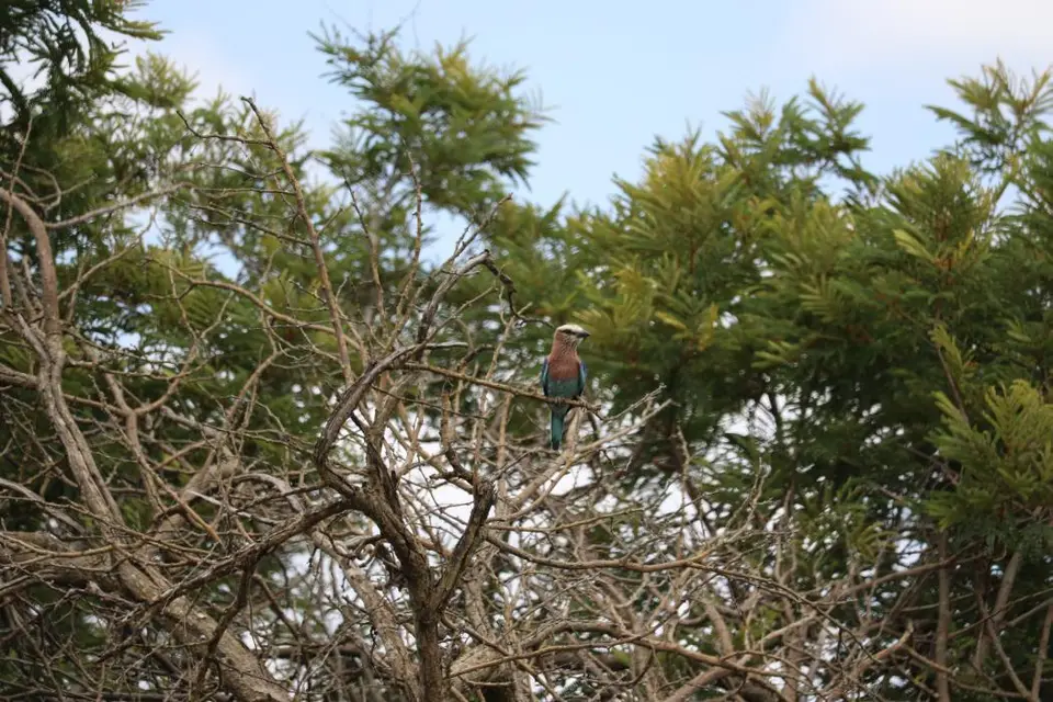 KZN17.jpg(31).jpg