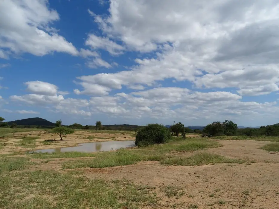 KZN17.jpg(90).jpg