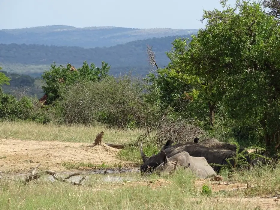 KZN17.jpg(91).jpg