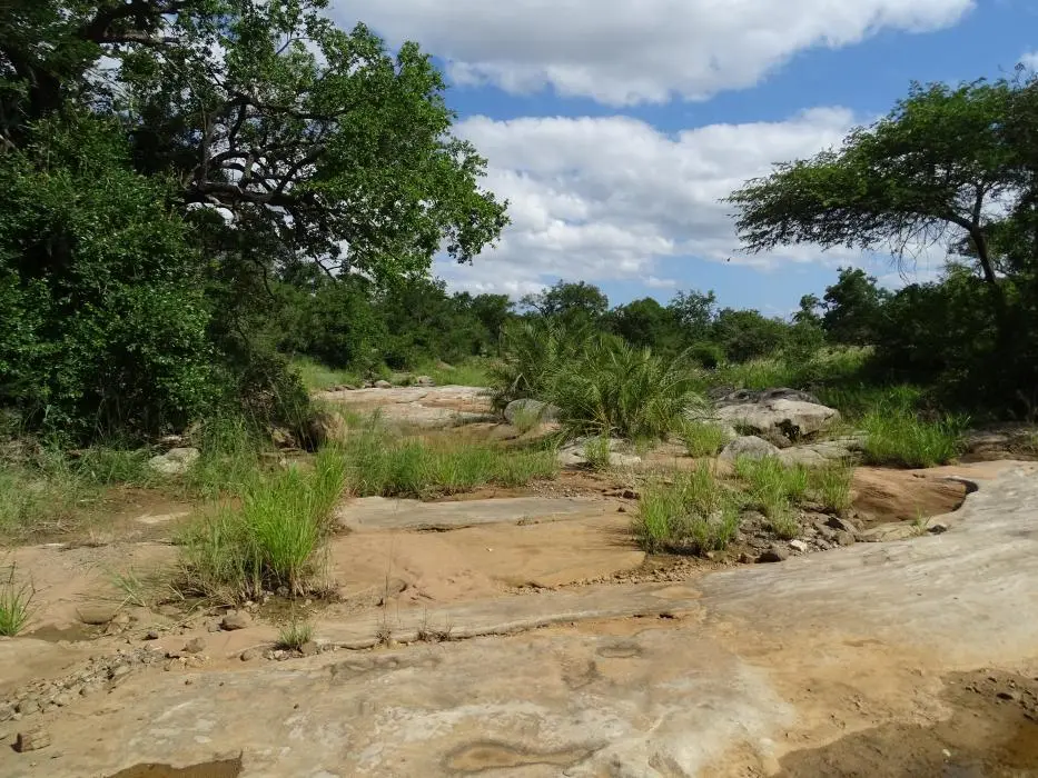 KZN17.jpg(95).jpg