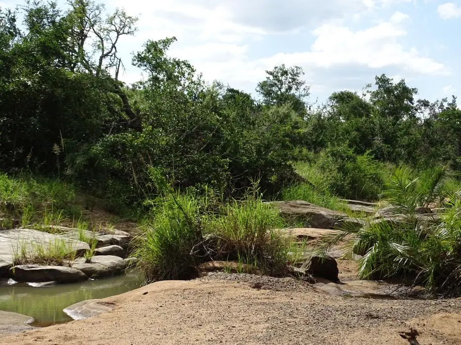 KZN17.jpg(96).jpg
