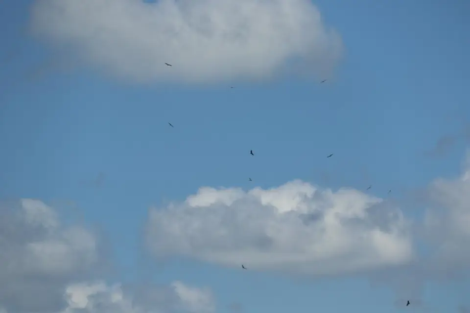 KZN18.jpg(196).jpg