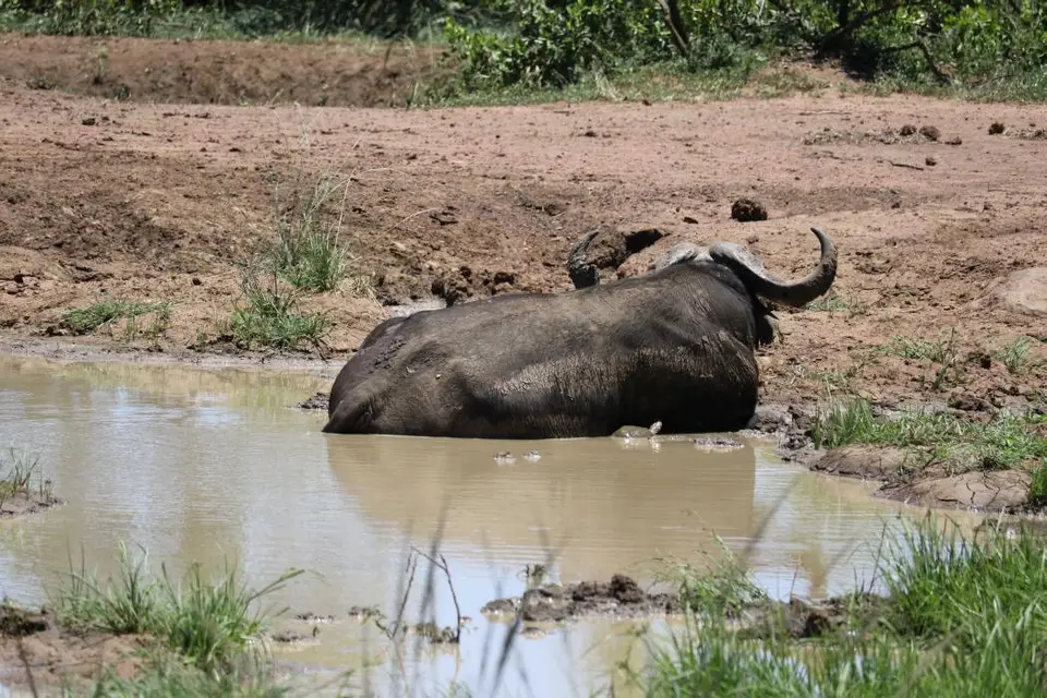 KZN18.jpg(317).jpg