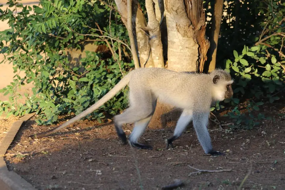 KZN18.jpg(426).jpg
