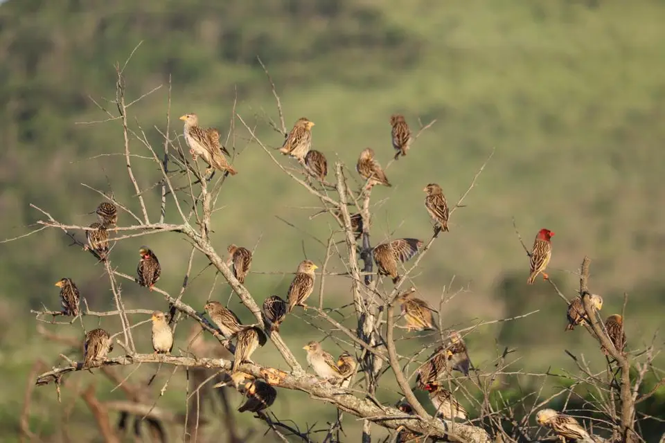 KZN18.jpg(43).jpg