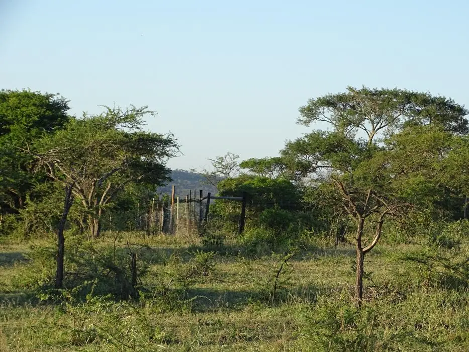 KZN19_.jpg(11).jpg
