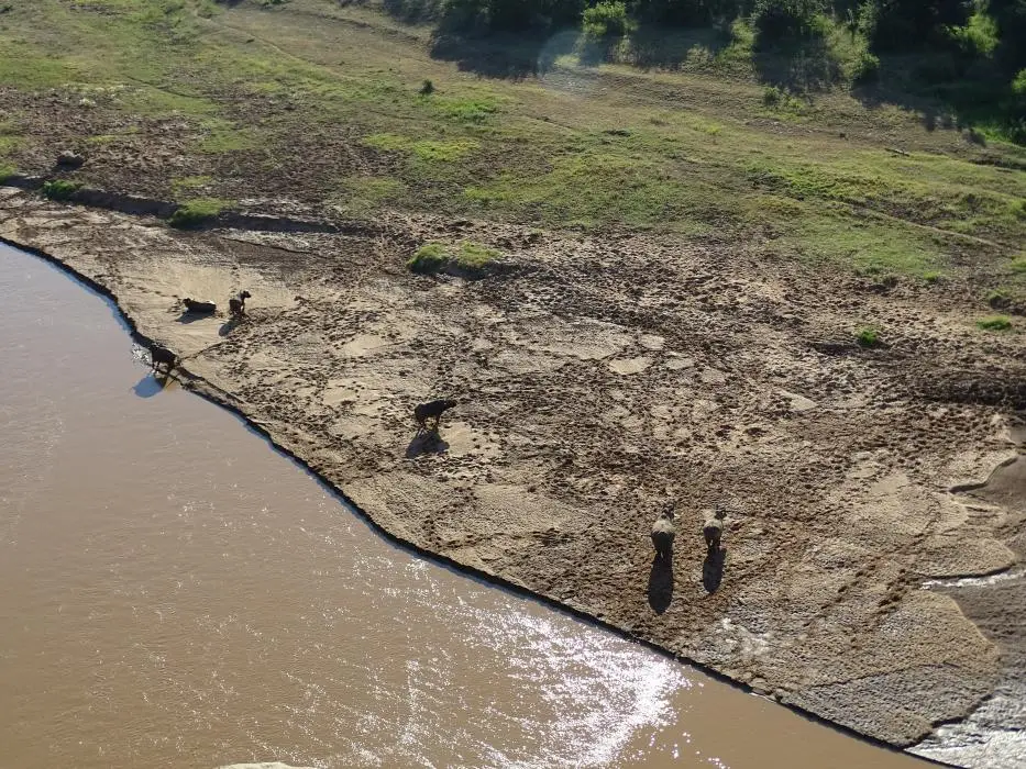 KZN19_.jpg(25).jpg