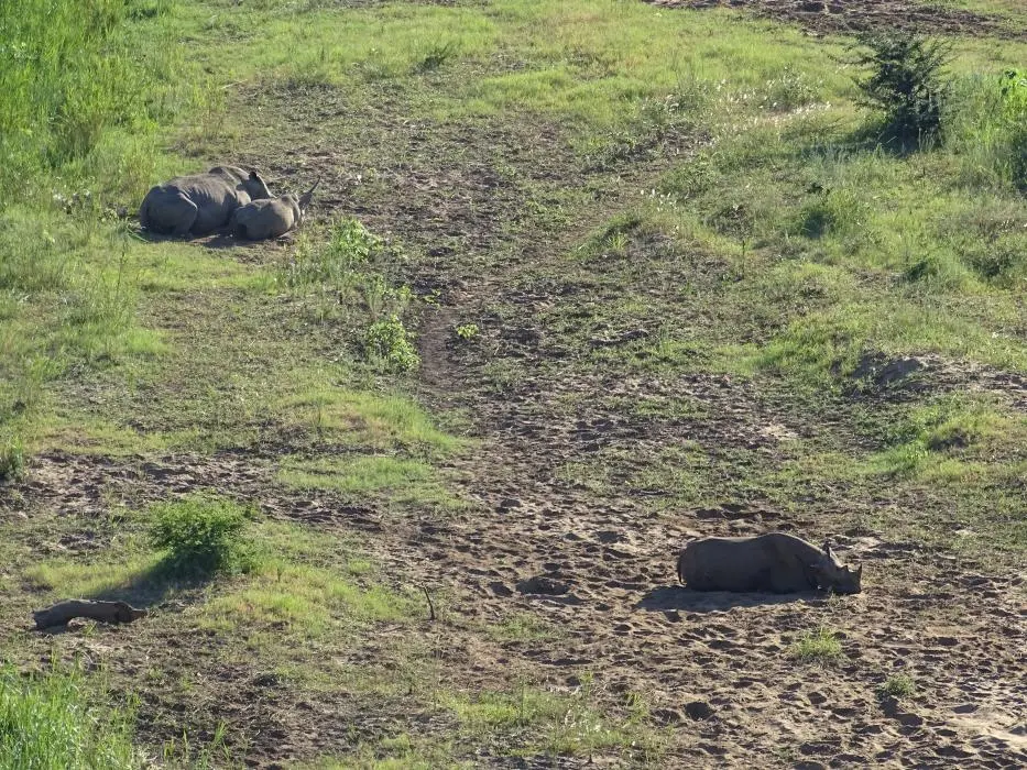 KZN19_.jpg(33).jpg