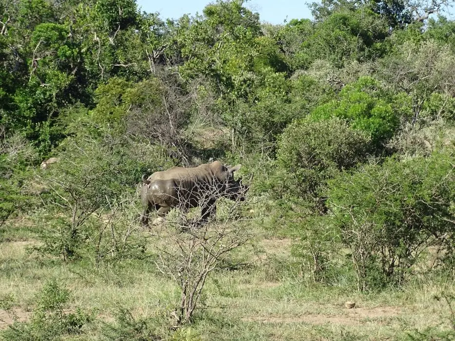 KZN19_.jpg(45).jpg