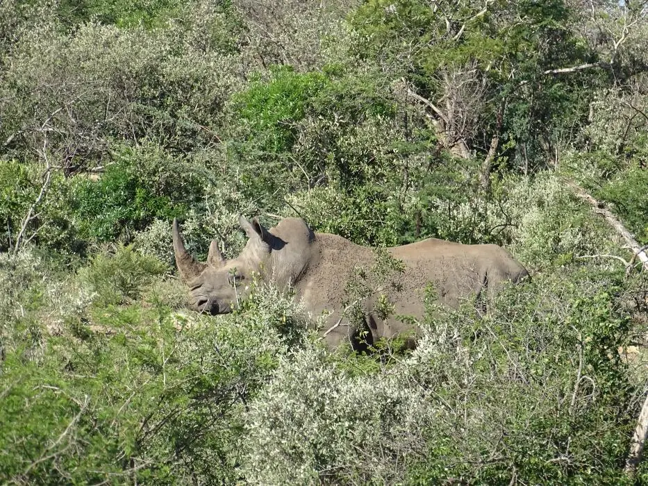 KZN19_.jpg(46).jpg