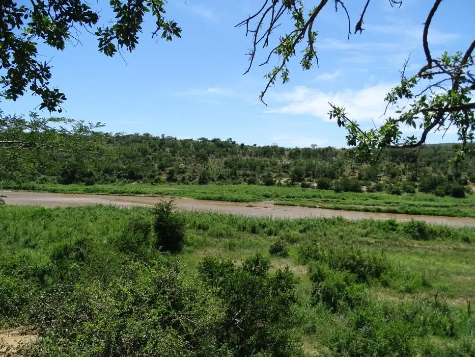 KZN19_.jpg1(10).jpg