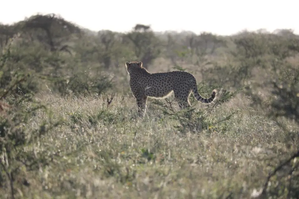KZN19_.jpg1(101).jpg