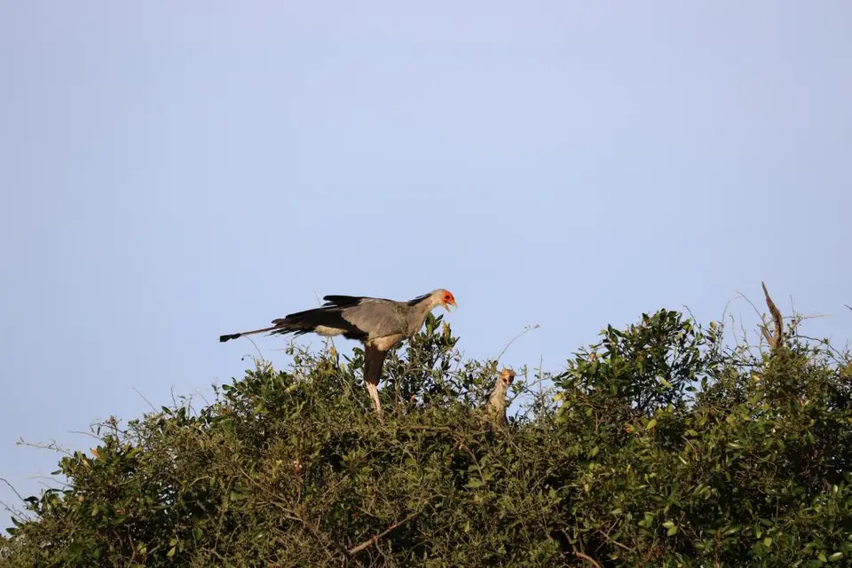 KZN19_.jpg1(118).jpg