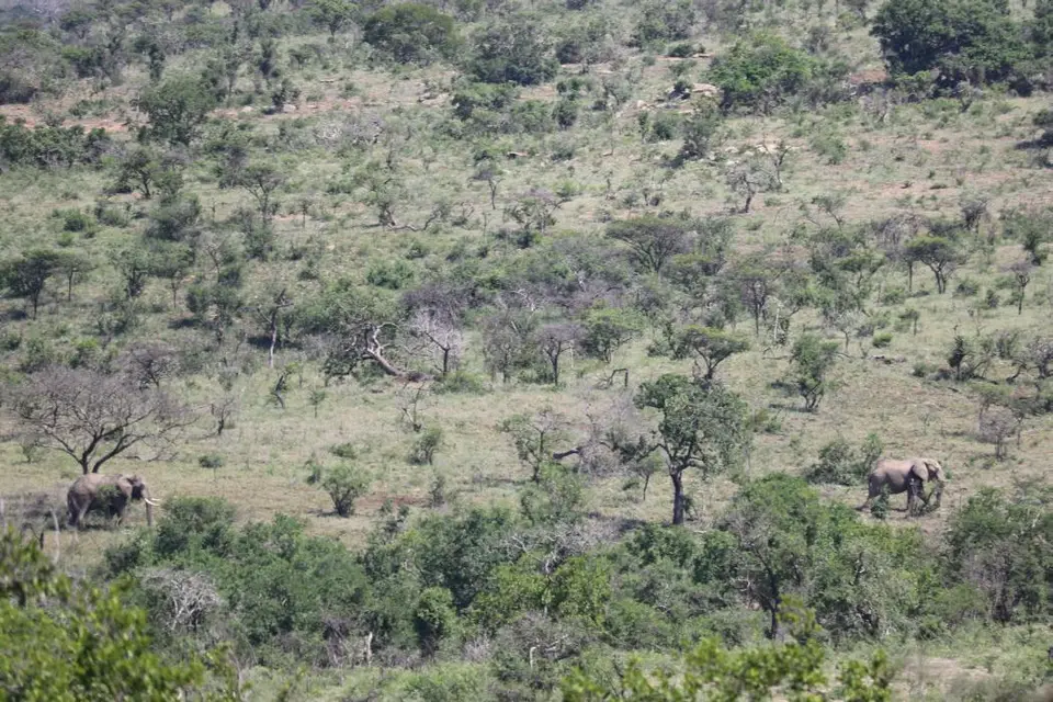 KZN19_.jpg1(2).jpg