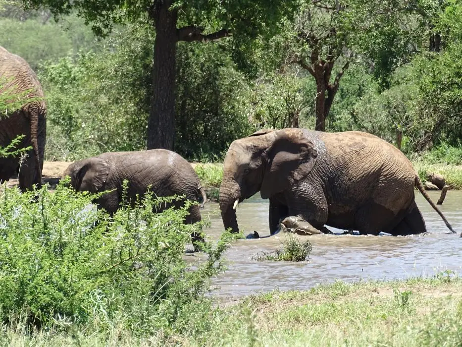 KZN19_.jpg1(25).jpg