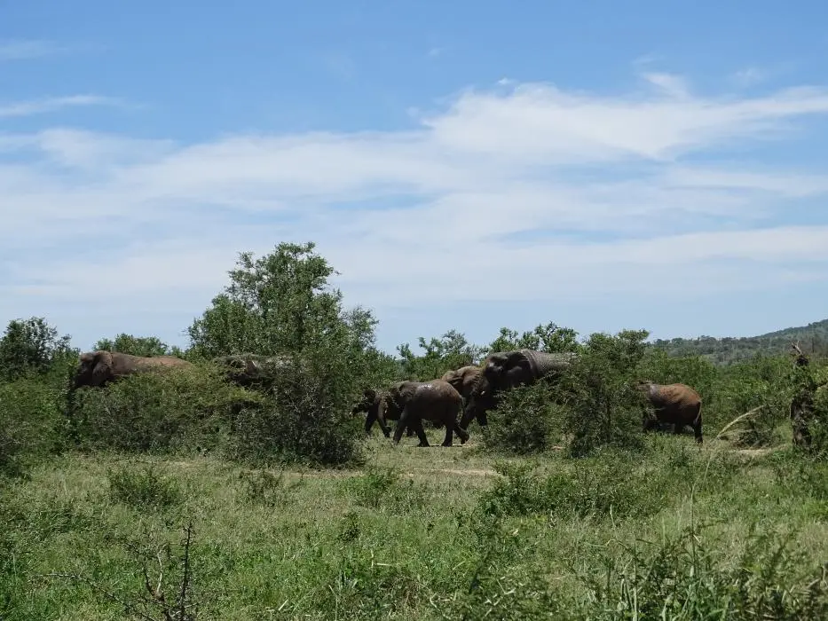 KZN19_.jpg1(26).jpg