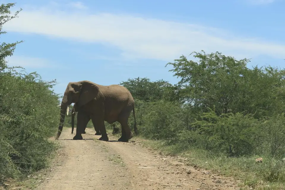 KZN19_.jpg1(34).jpg