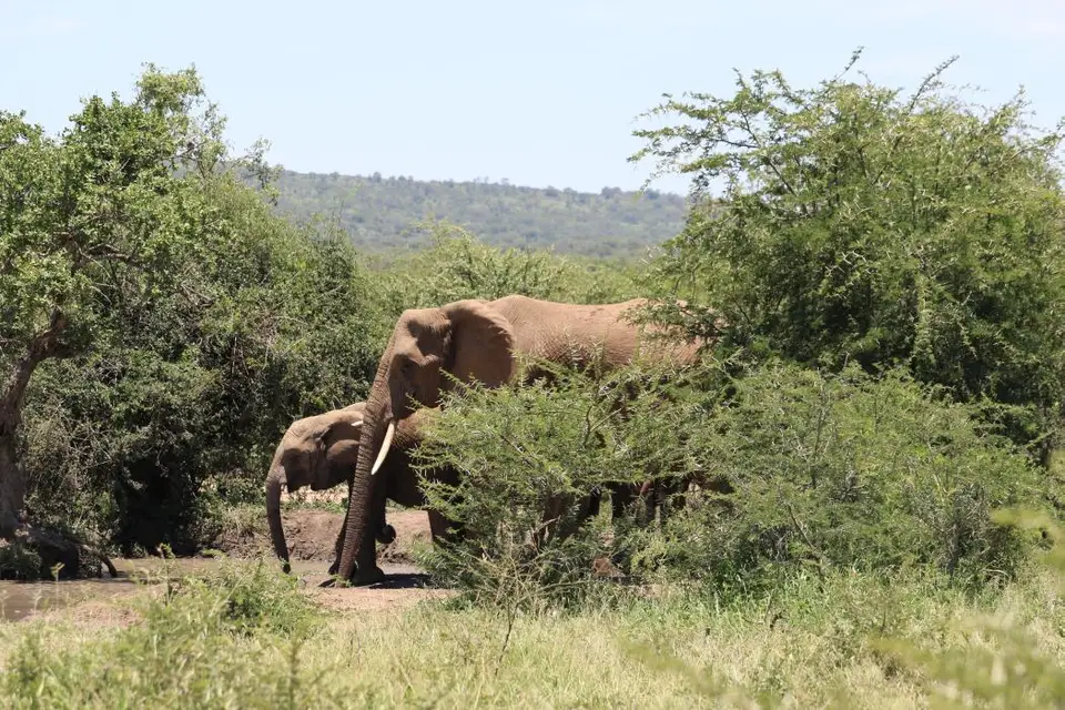 KZN19_.jpg1(36).jpg