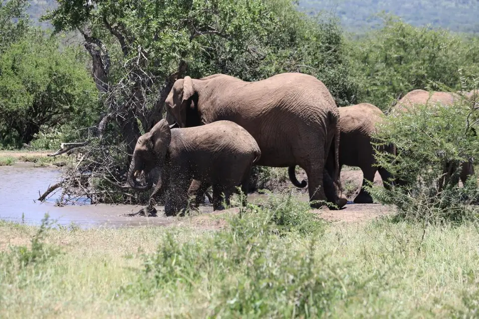 KZN19_.jpg1(37).jpg