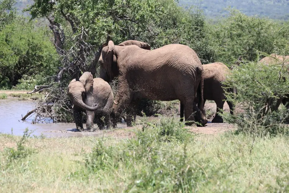 KZN19_.jpg1(39).jpg