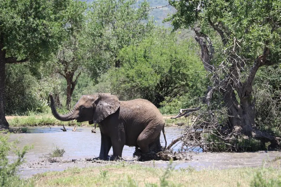 KZN19_.jpg1(52).jpg