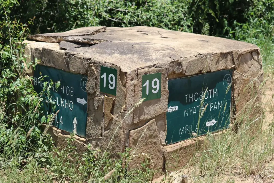 KZN19_.jpg1(57).jpg