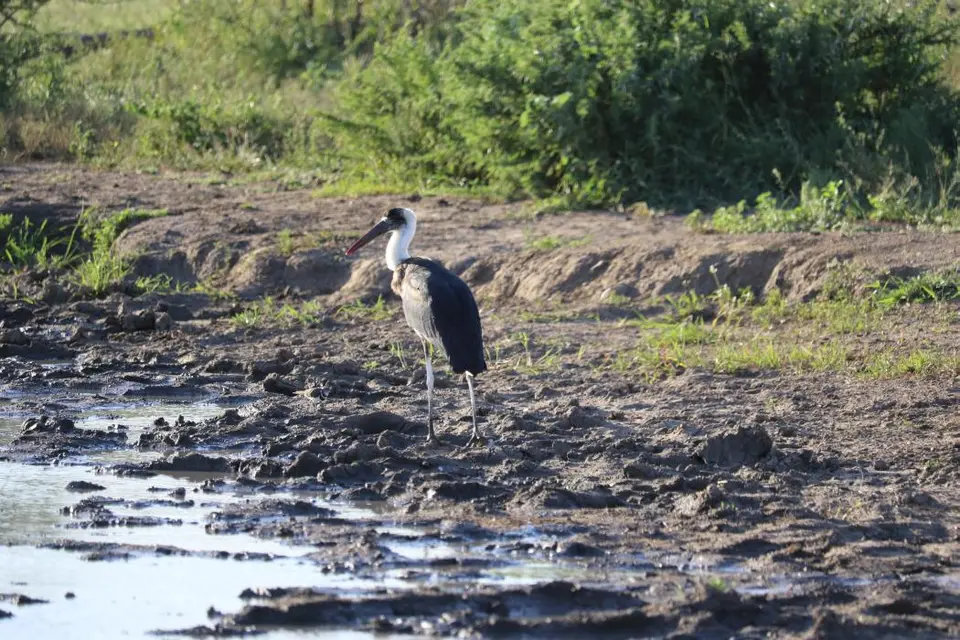 KZN19_.jpg1(88).jpg