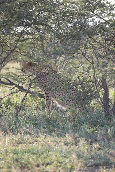 KZN19_.jpg1(94).jpg