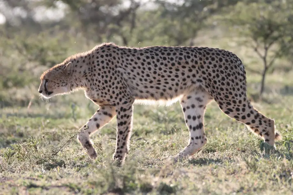 KZN19_.jpg1(98).jpg