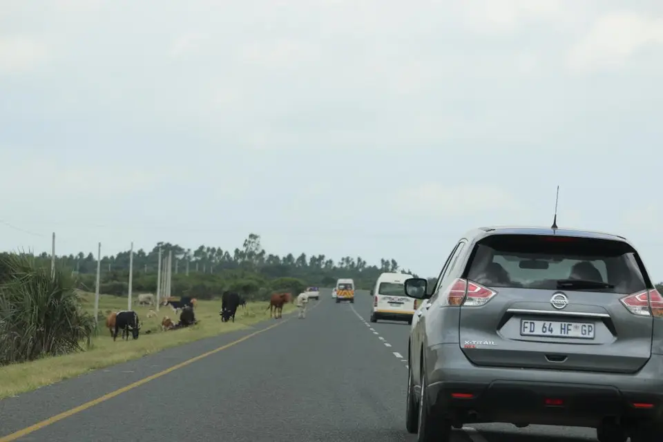 KZN20_jpg(110).jpg