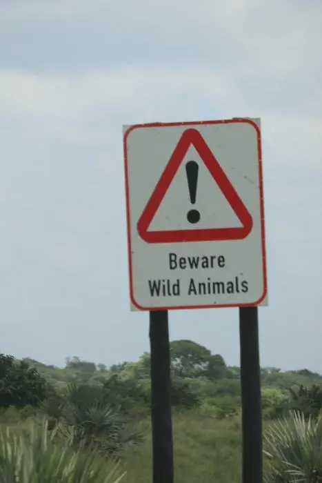 KZN20_jpg(114).jpg