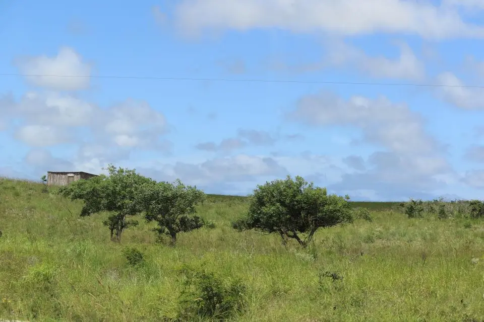 KZN20_jpg(154).jpg