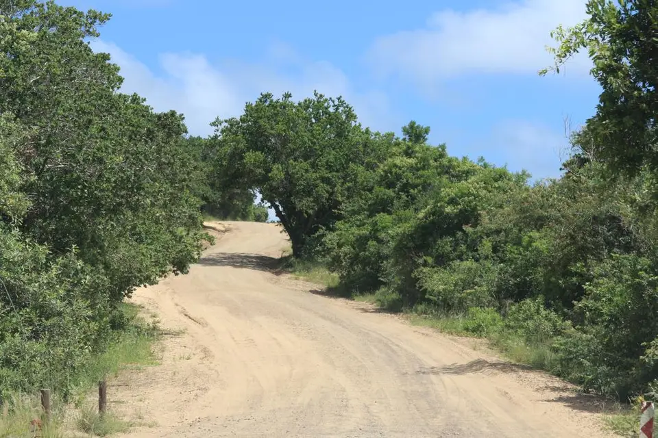 KZN20_jpg(159).jpg