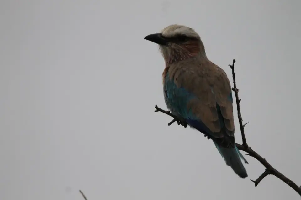 KZN20_jpg(16).jpg