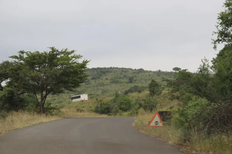 KZN20_jpg(19).jpg