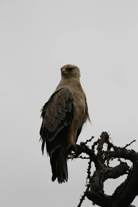 KZN20_jpg(28).jpg