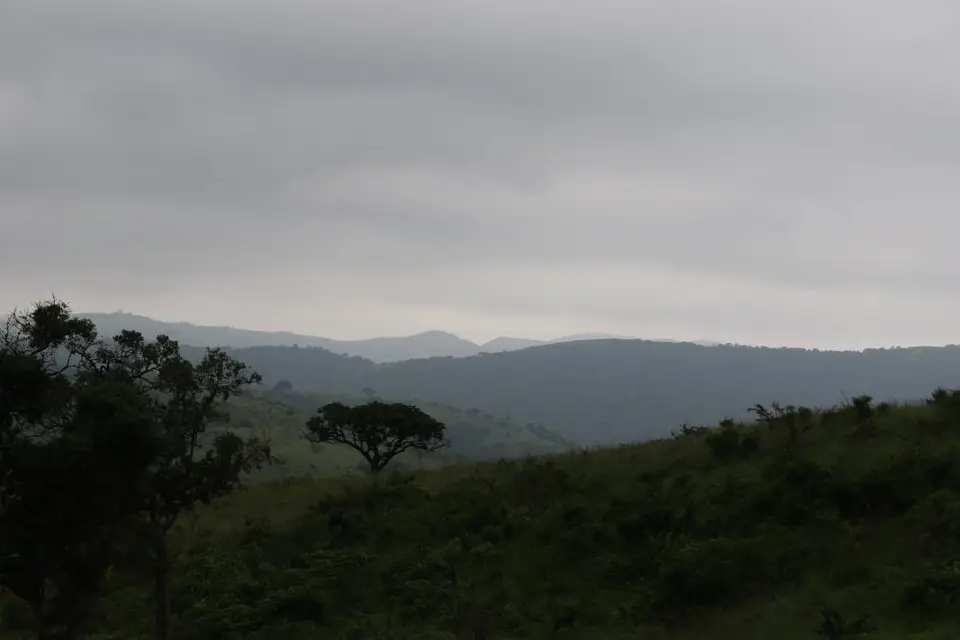 KZN20_jpg(36).jpg