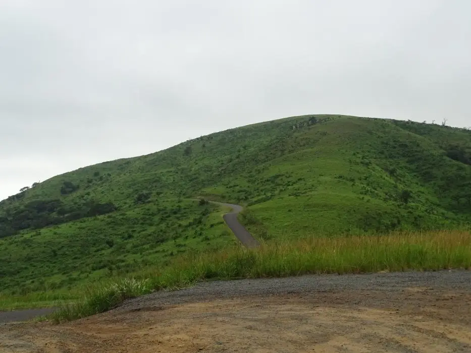 KZN20_jpg(38).jpg