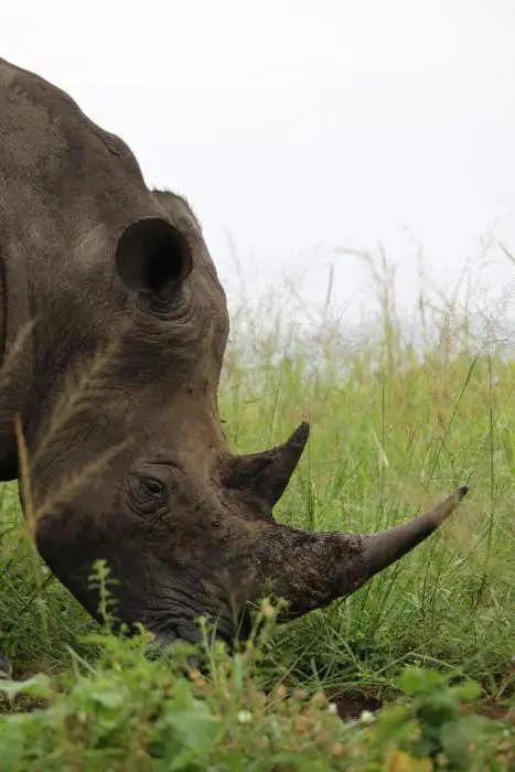 KZN20_jpg(47).jpg