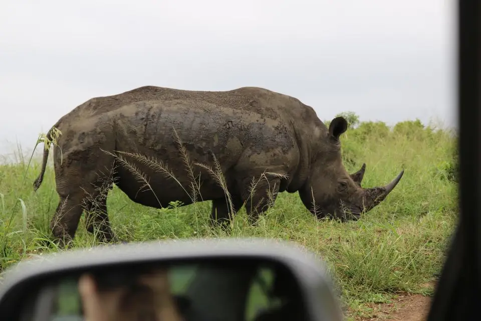 KZN20_jpg(48).jpg